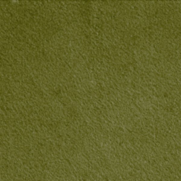 Felt - Pale moss