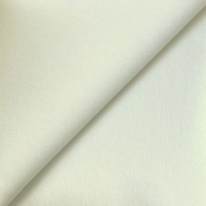 Ivory textured fabric close-up