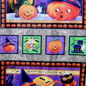 Halloween decorations with pumpkins and black cat.