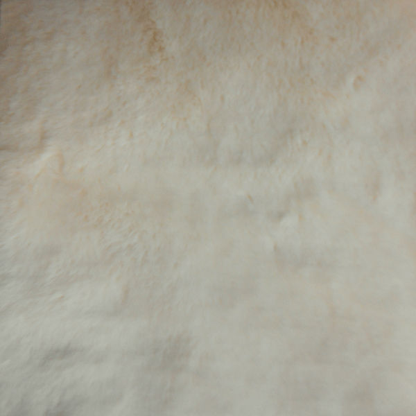 Close-up of soft beige fur surface.